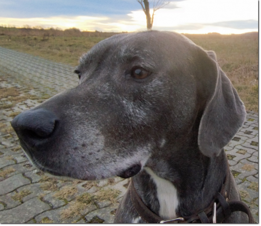 Gestatten? SamKito! Der SamKito!